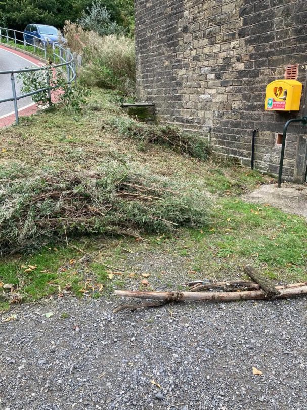 The cut down weeds.
